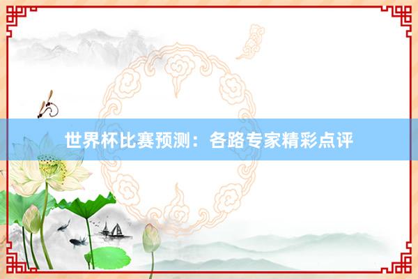 世界杯比赛预测：各路专家精彩点评