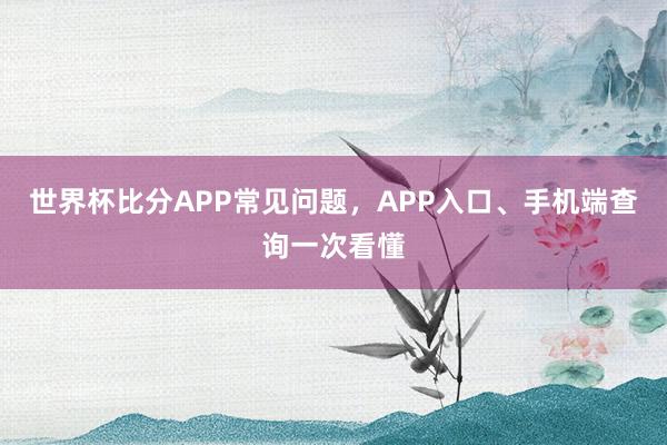 世界杯比分APP常见问题，APP入口、手机端查询一次看懂