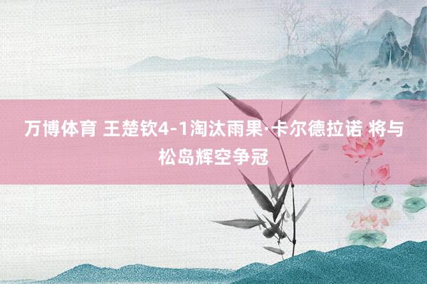 万博体育 王楚钦4-1淘汰雨果·卡尔德拉诺 将与松岛辉空争冠
